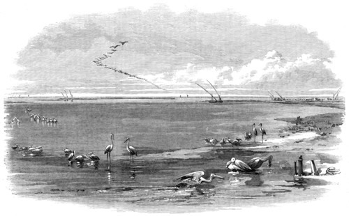 The Isthmus of Suez Maritime Canal: Lake Menzaleh, 1869. Creator: Unknown.