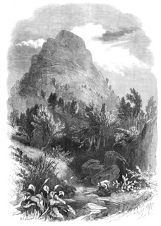 The Lion's Head Mountain, near Capetown, Cape of Good Hope, 1868. Creator: Unknown.