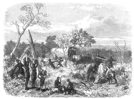 Travelling in Africa: cutting a road for the waggons, 1868. Creator: Unknown.