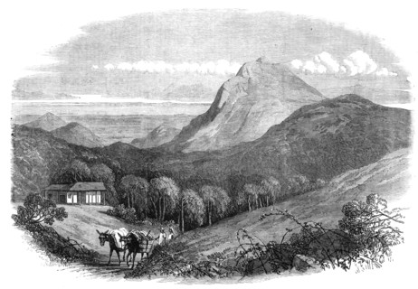 View of the Bay of Rio de Janeiro, from the Heights of the Emperor, near Petropolis, 1868. Creator: Unknown.