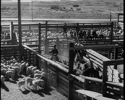 Horses Being Rounded up By Cowboys And Being Put Into Pens, 1932. Creator: British Pathe Ltd.