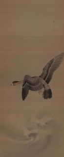 A goose in flight, 1900. Creator: Seitei (Shotei); Watanabe (1851-1918).