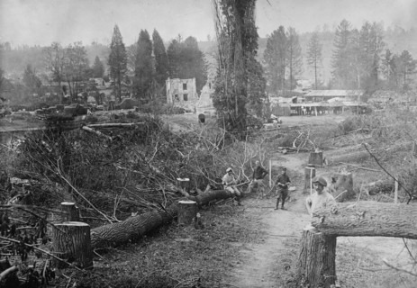 Farm, Aisne District, between c1915 and 1918. Creator: Bain News Service.