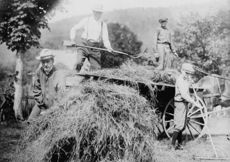 Coolidge, between c1915 and c1920. Creator: Bain News Service.