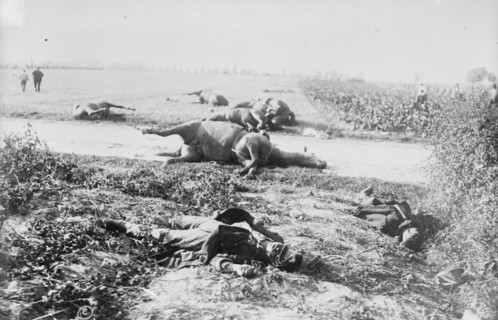 Corner of battlefield, Haelen, 1914. Creator: Bain News Service.