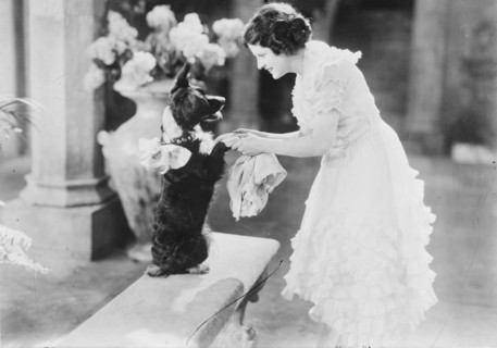 May MacAvoy, between c1915 and c1920. Creator: Bain News Service.