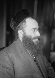 Rosenblatt, between c1915 and c1920. Creator: Bain News Service.