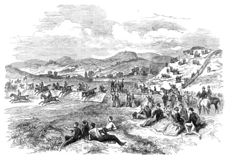 Steeplechase at Punchestown Races, 1870. Creator: Unknown.