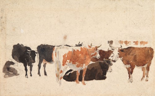 Study of Cattle, c1800-1830. Creator: David Cox the Elder.