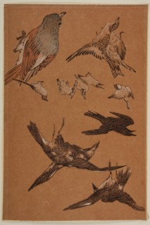Love leading the Pilgrim - Study of Birds, Crows, Kingfishers, and Sparrows, 1877-97. Creator: Sir Edward Coley Burne-Jones.