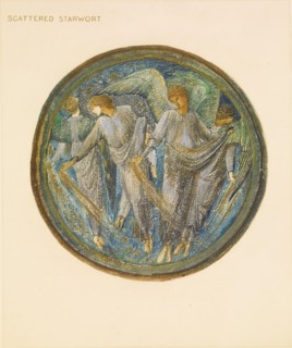 The Flower Book - Scattered Starwort, 1905. Creator: Sir Edward Coley Burne-Jones.
