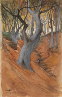 Beech Forest, 1901. Creator: Albert Edelfelt.