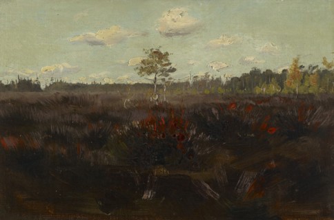 Bog in Lapland, 1892. Creator: Torsten Wasastjerna.