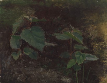 Tree Plants, sketch for the painting Fairy Tale Princess, c1895-1896. Creator: Torsten Wasastjerna.