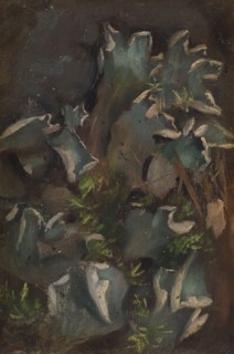 Lichen, sketch for the painting Fairy Tale Princess, c1895-1896. Creator: Torsten Wasastjerna.