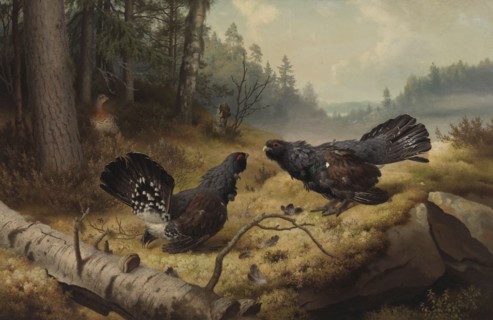 The Fighting Capercaillies, 1886. Creator: Ferdinand von Wright.
