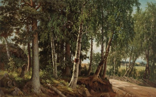 Forest Landscape from Haminalahti, 1880. Creator: Ferdinand von Wright.