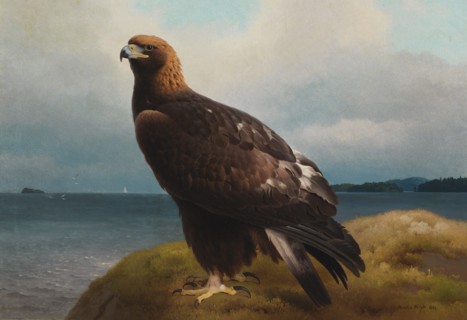 Golden Eagle, 1884. Creator: Ferdinand von Wright.