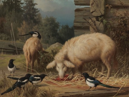 Pigs and Magpies, 1875. Creator: Ferdinand von Wright.