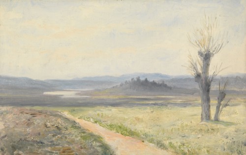 Plain landscape. Creator: Johan Knutson.