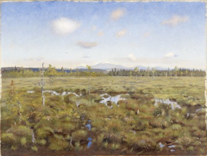 Landscape from Lapland, 1892. Creator: Torsten Wasastjerna.