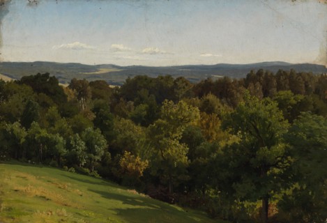 View from the mountain, exercise, 1855. Creator: Werner Holmberg.