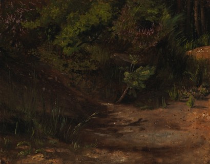 Sand land, exercise, 1854. Creator: Werner Holmberg.