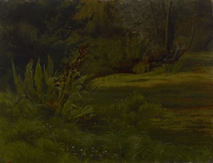 A pond in the forest, exercise, 1854. Creator: Werner Holmberg.
