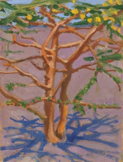 Acacia on the Savannah, 1909. Creator: Akseli Gallen-Kallela.