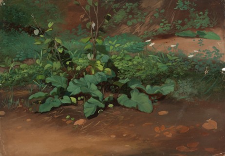 Landscape, Study, 1835-1853. Creator: Nils Jakob Blommer.
