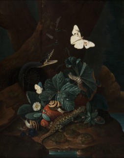 Forest Floor Still Life, 1735. Creator: Karl Wilhelm de Hamilton.