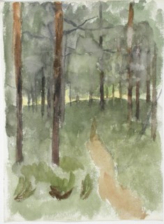Forest path. Creator: Maria Wiik.