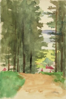 A road between conifers. Creator: Maria Wiik.