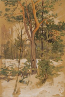 Landscape Study, 1894. Creator: Victor Westerholm.