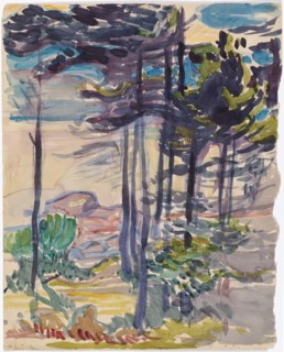 Landscape, 1900-1925. Creator: Magnus Enckell.