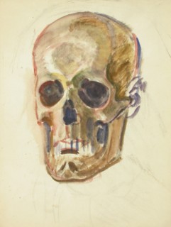 Skull, c1910s. Creator: Verner Thome.