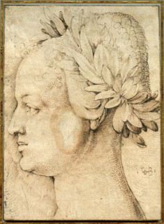 Head of a woman crowned with laurels. Creator: Baldung (Baldung Grien), Hans (1484-1545).