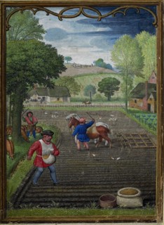 The Hours of Hennessy (Hours of Notre-Dame). Labors of the Months: September, c1530. Creator: Bening, Simon, (Workshop) (ca 1483-1561).