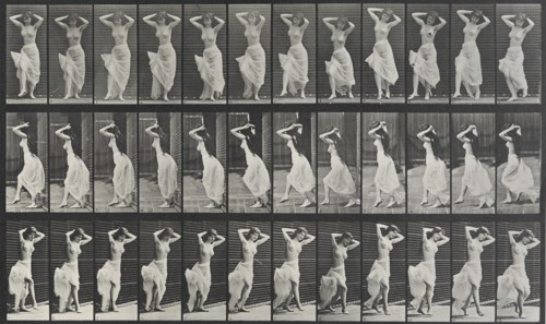 Animal Locomotion Plate 190, 1887. Creator: Muybridge, Eadweard (1830-1904).