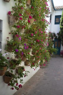 One of the 12 Gardens at the Renaissance Palacio de Viana, Cordoba, Spain, 2023. Creator: Ethel Davies.