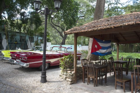 Old American cars and the Cuban flag at the Bosque, Havana, Cuba, 2024. Creator: Ethel Davies.
