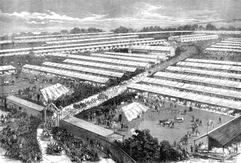The Irish Royal Agricultural Society's Show at Dublin, 1871. Creator: Unknown.