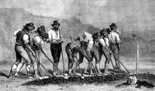 Field Labourers, by A. Hennebicq, in the International Exhibition, 1871. Creator: W Hollidge.