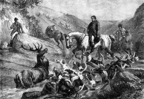 A Stag at Bay on Exmoor Forest, by S. Carter, 1871. Creator: J Greenaway.