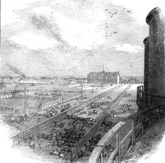 The Great Fire at Chicago: stock-yards, 1871. Creator: Unknown.