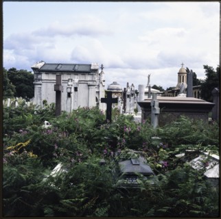 Brompton Cemetery, Old Brompton Road, Brompton, Kensington and Chelsea, London, 1982. Creator: Ian Mesnard Parsons.
