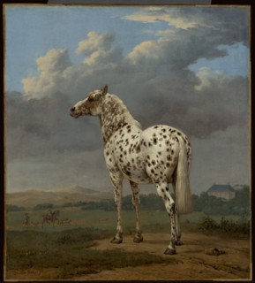 The Piebald Horse, about 1650-1654. Creator: Paulus Potter.