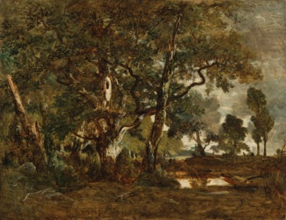 Forest of Fontainebleau, Cluster of Tall Trees Overlooking the Plain of Clair..., about 1849-1852. Creator: Theodore Rousseau.