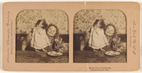 Ready for his Breakfast., 1896. Creator: Edward Clarke.