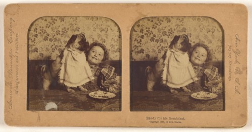 Ready for his Breakfast., 1896. Creator: Edward Clarke.
